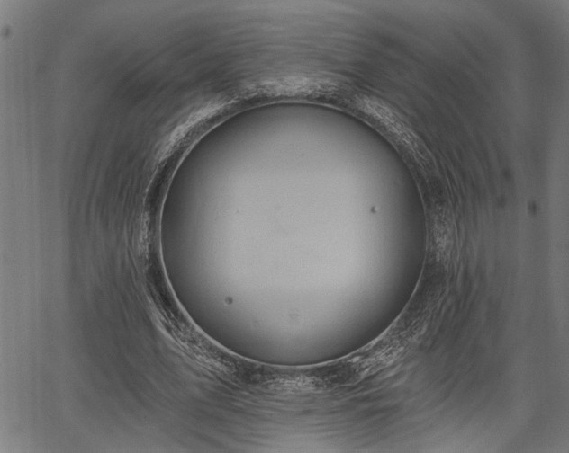 X0000067350583200604030936