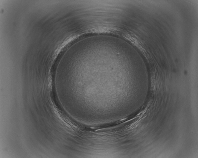 X0000067350584200604030936