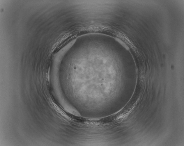 X0000067350585200604030936