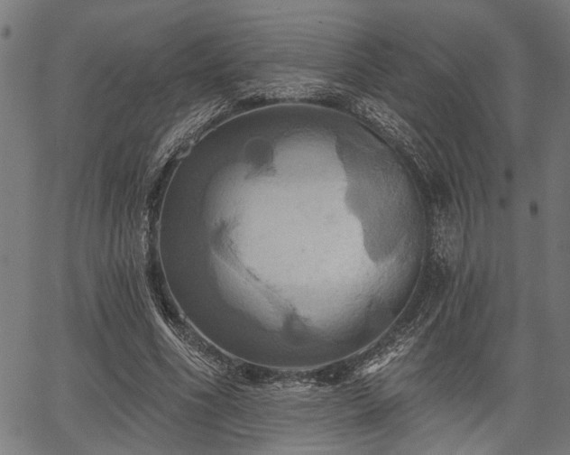 X0000067350586200604030936