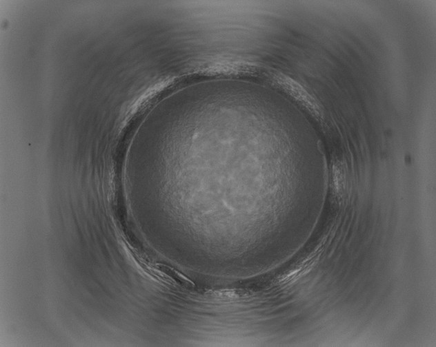 X0000067350588200604030936