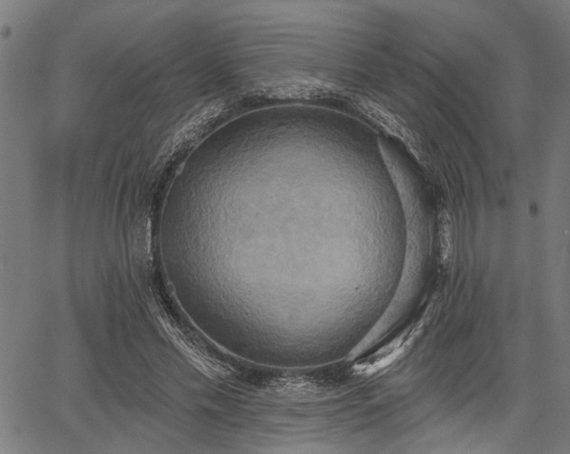 X0000067350589200604030936