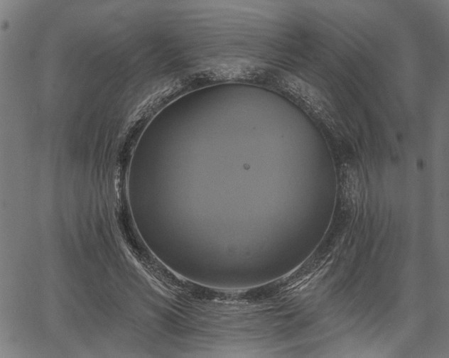 X0000067350590200604030936