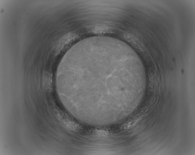 X0000067350592200604030936