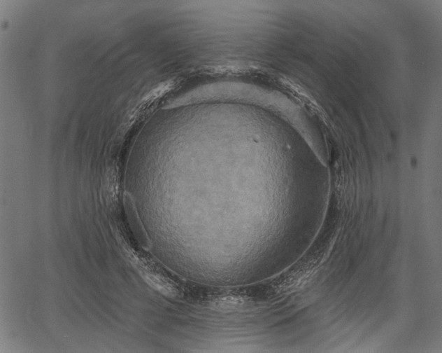 X0000067350593200604030936