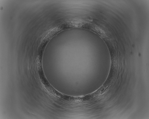 X0000067350594200604030936