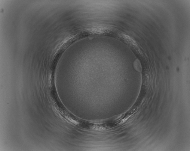 X0000067350596200604030936