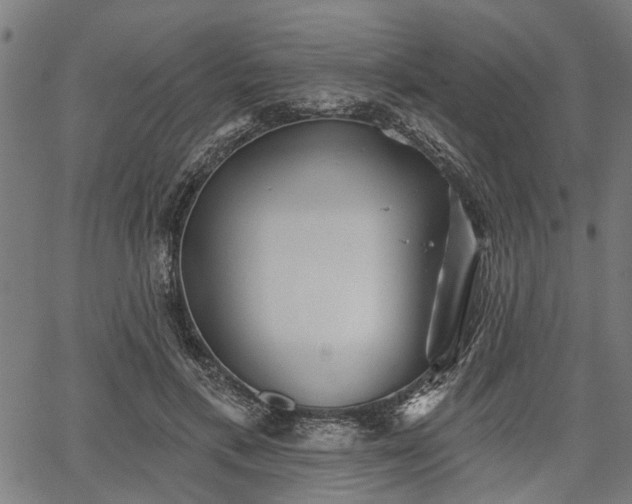 X0000067350597200604030936