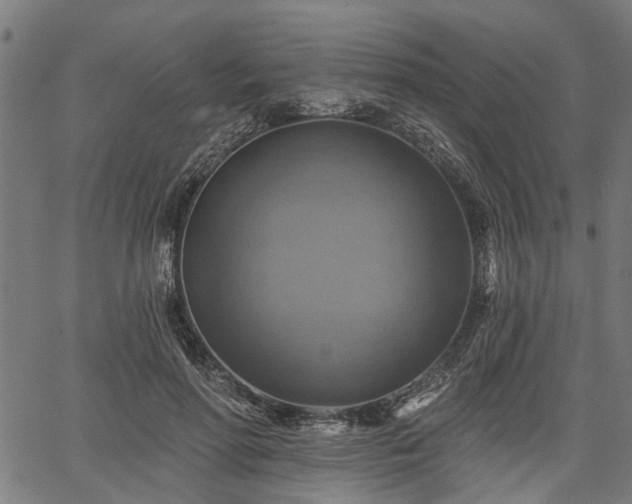 X0000067350598200604030936