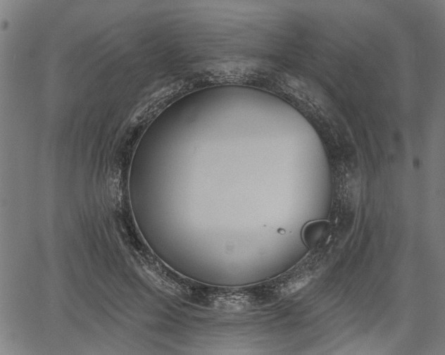 X0000067350599200604030936