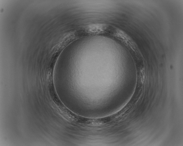 X0000067350601200604030936