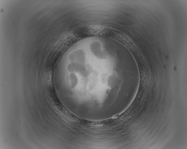 X0000067350602200604030936