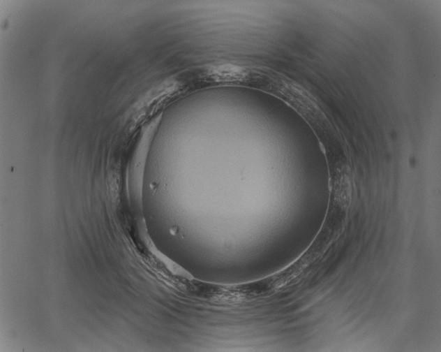 X0000067350604200604030936