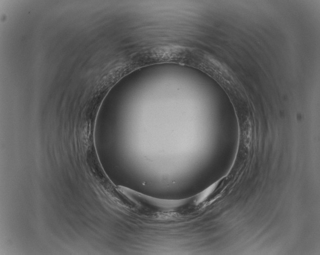 X0000067350605200604030936