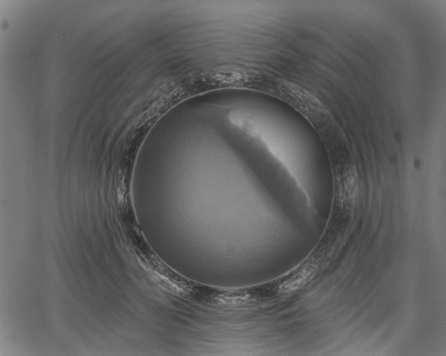 X0000067350606200604030936