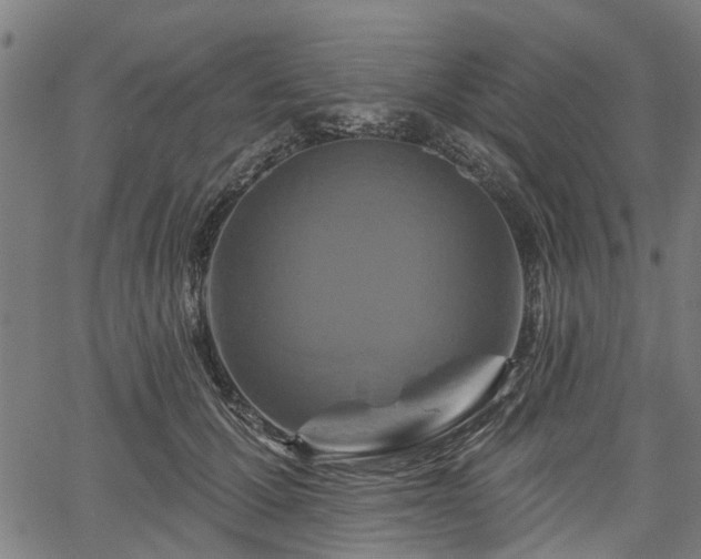 X0000067350607200604030936