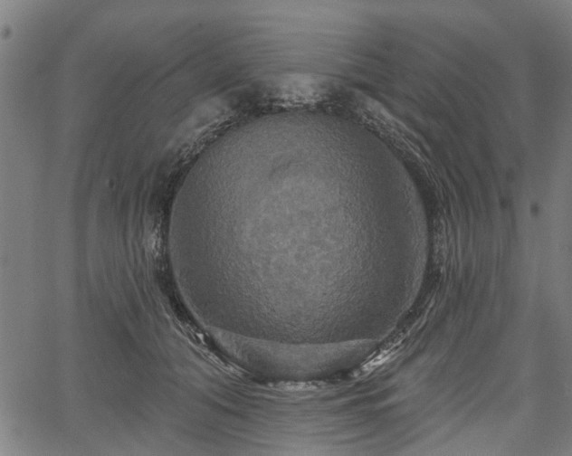 X0000067350608200604030936