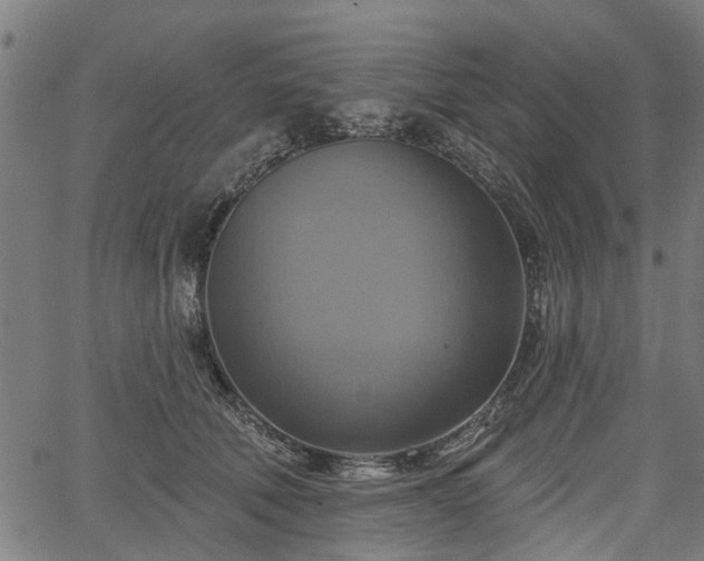 X0000067350610200604030936