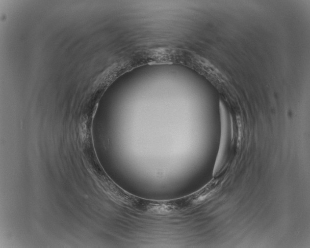 X0000067350611200604030936