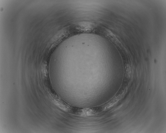 X0000067350612200604030936