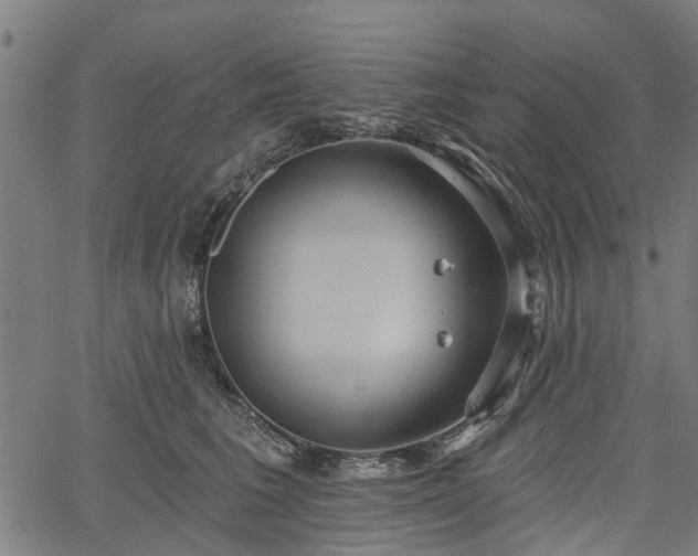 X0000067350613200604030936