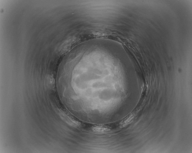 X0000067350614200604030936