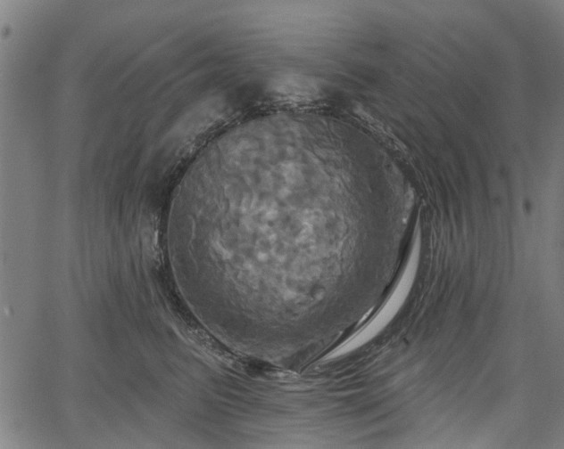 X0000067350615200604030935