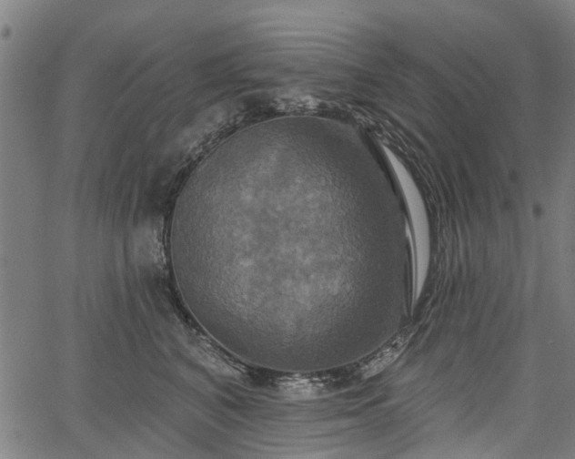 X0000067350616200604030935