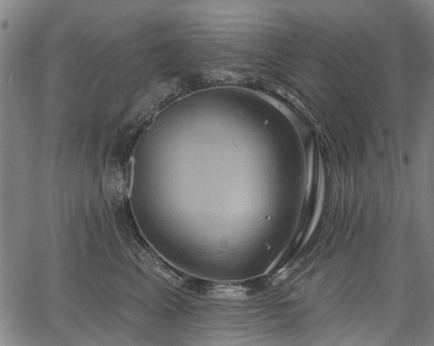 X0000067350617200604030935