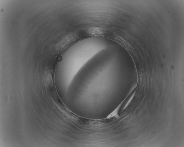 X0000067350618200604030935