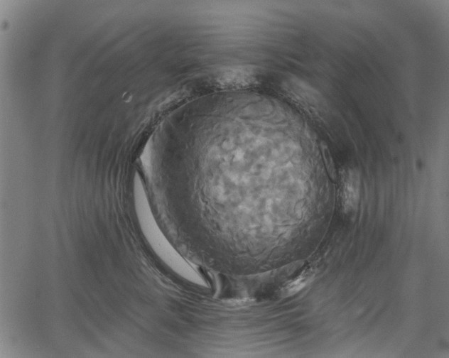 X0000067350619200604030935