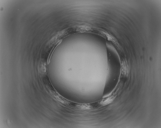 X0000067350621200604030935