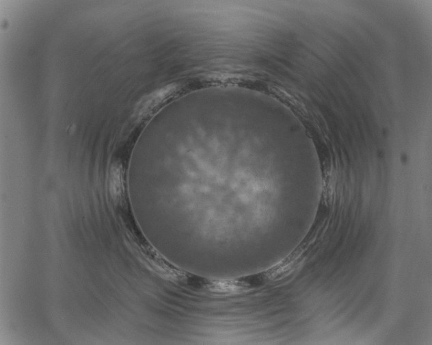 X0000067350623200604030935