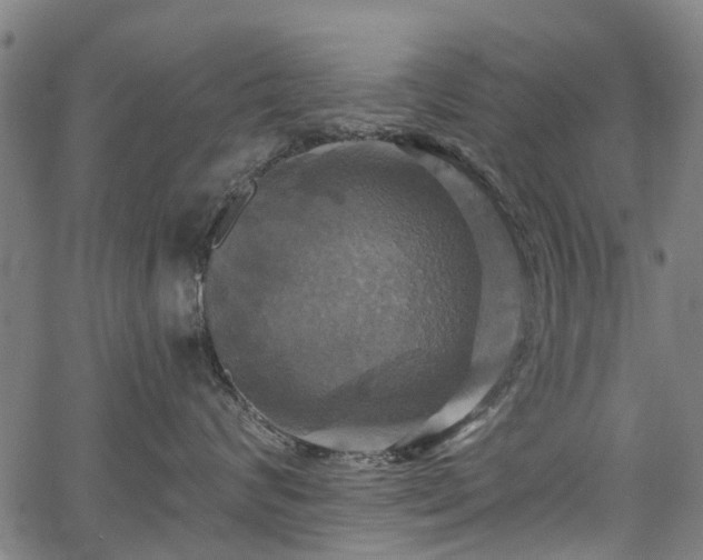 X0000067350624200604030935