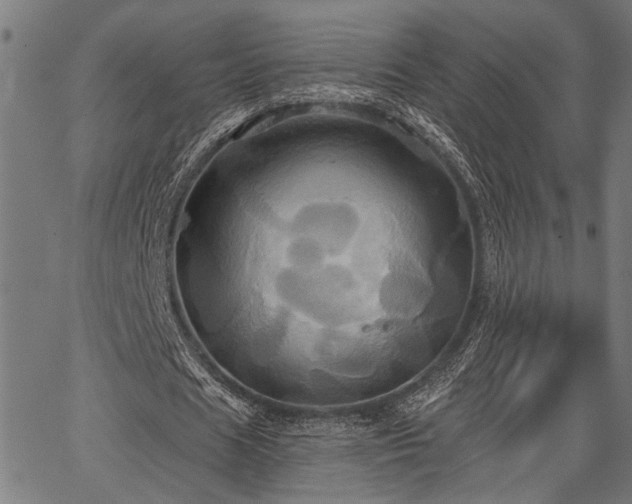 X0000067350625200604030935