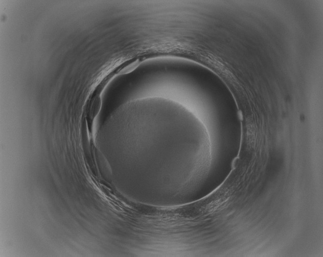 X0000067350626200604030935