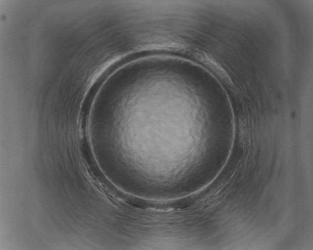 X0000067350628200604030935