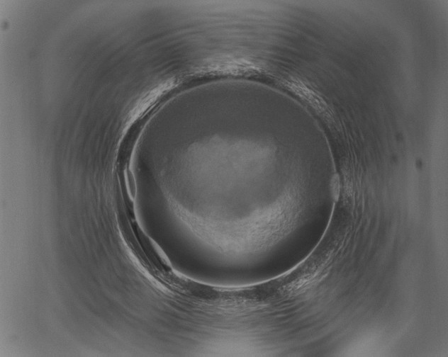 X0000067350630200604030935