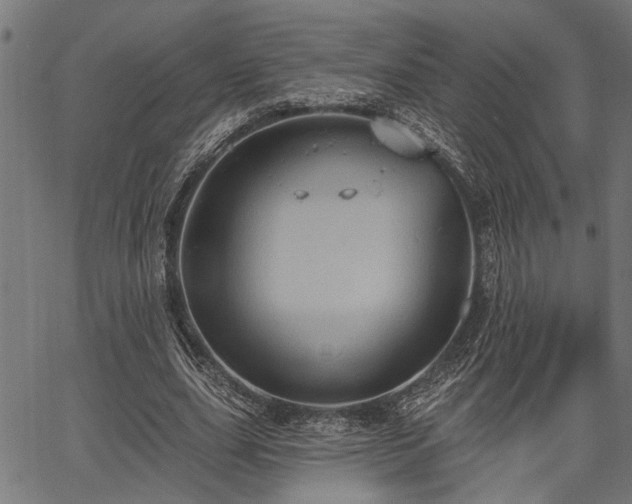 X0000067350631200604030935