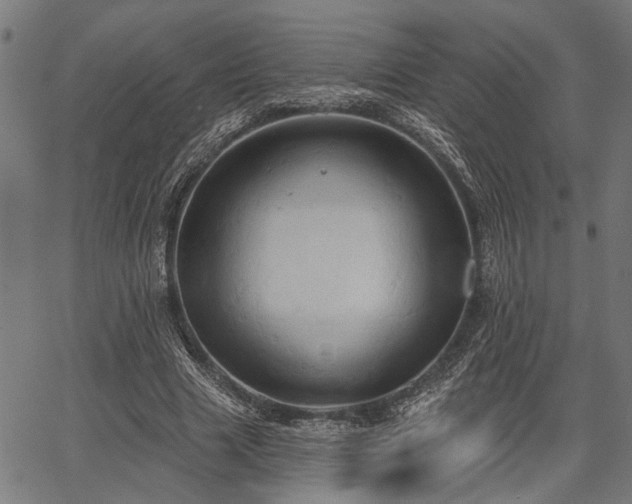 X0000067350633200604030935