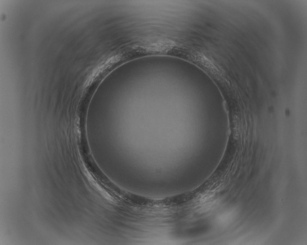 X0000067350634200604030935