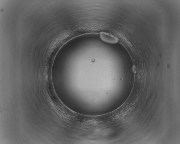 X0000067350635200604030935