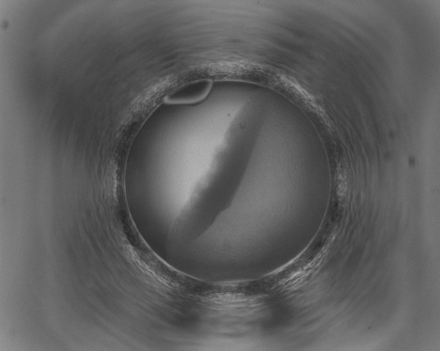 X0000067350637200604030935