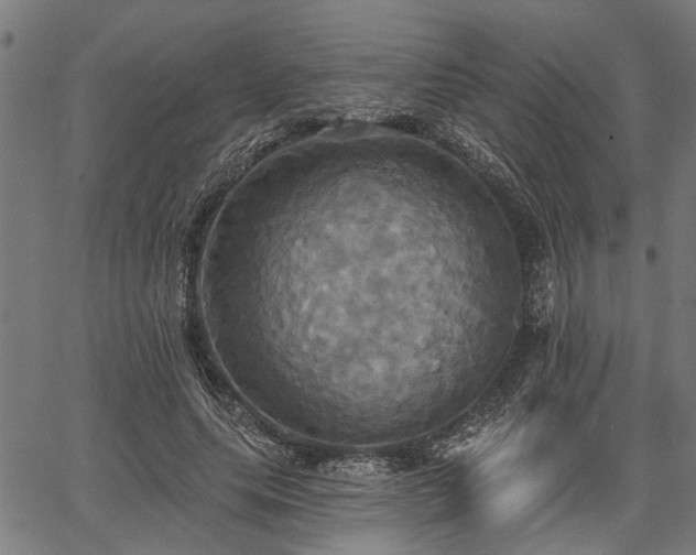 X0000067350639200604030935