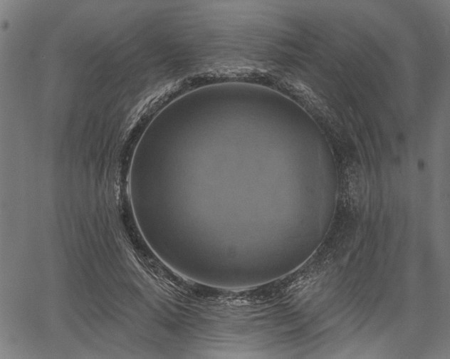 X0000067350640200604030935