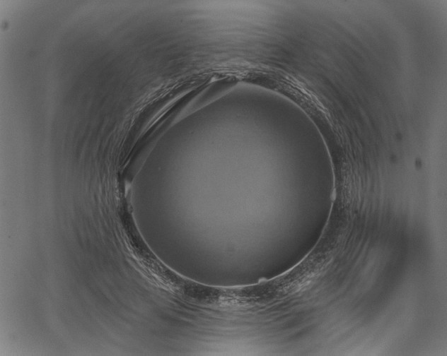 X0000067350641200604030935