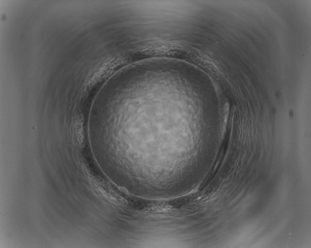 X0000067350642200604030935