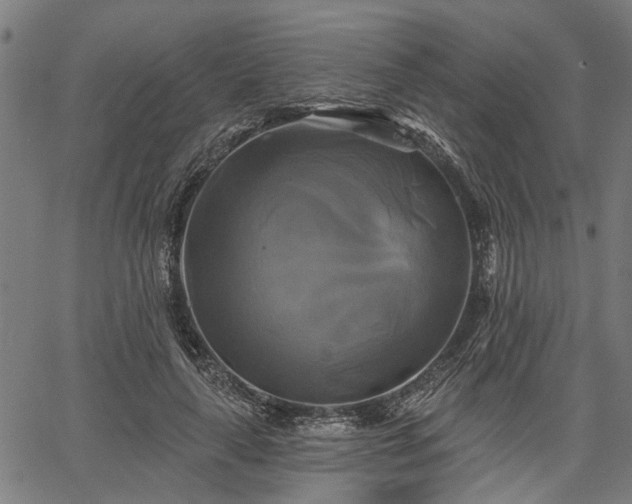 X0000067350643200604030935