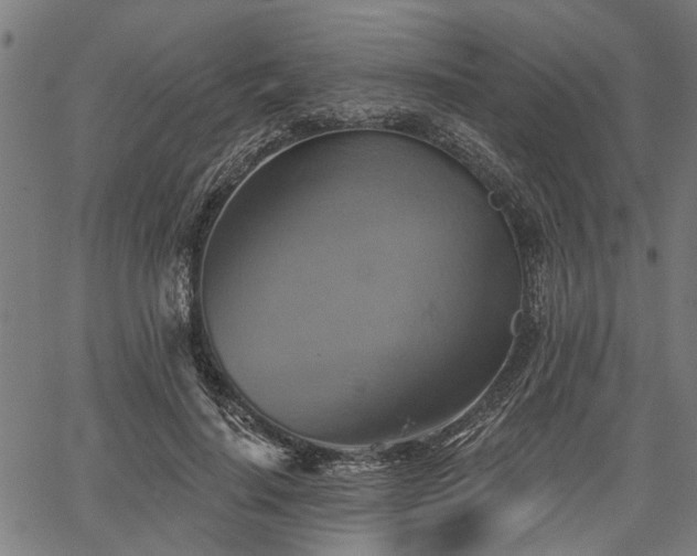 X0000067350644200604030935