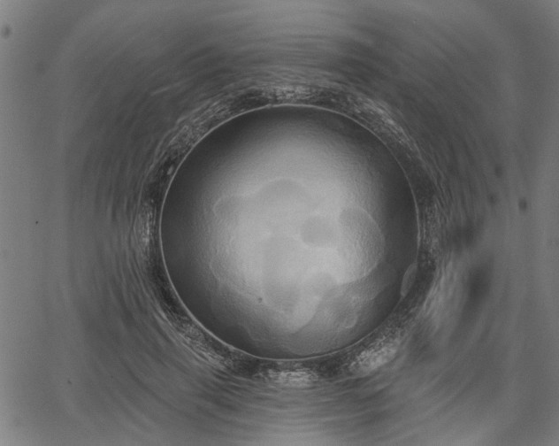 X0000067350645200604030935